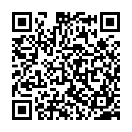 QR code for QPI924