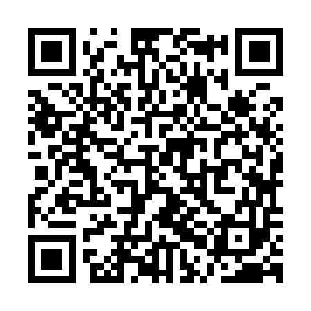 QR code for QPJ953
