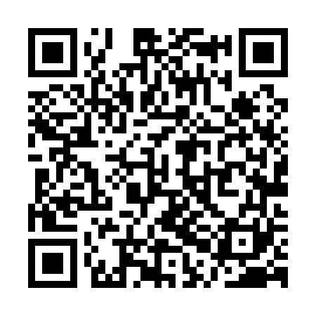 QR code for QPL161