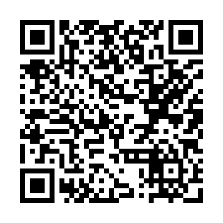 QR code for QPL985