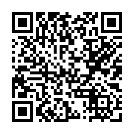 QR code for QPN391