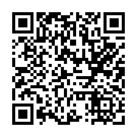 QR code for QPP493
