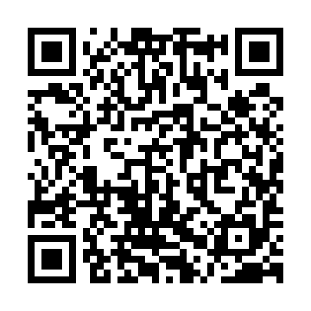 QR code for QPY595