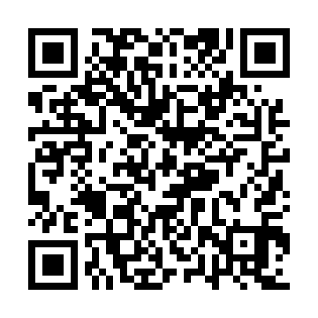 QR code for QPZ511