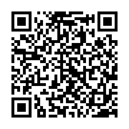 QR code for QQL333