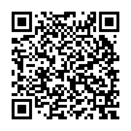 QR code for QQZ294