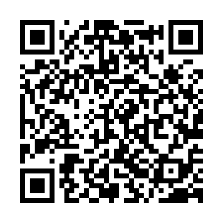 QR code for QRL919