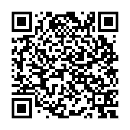 QR code for QRS371