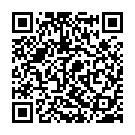 QR code for QRS919