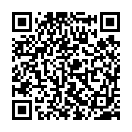 QR code for QRZ613