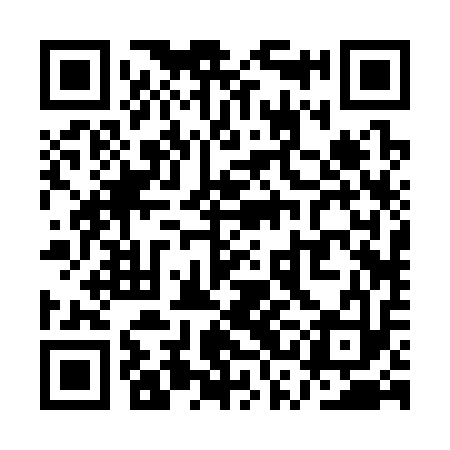 QR code for QSB313