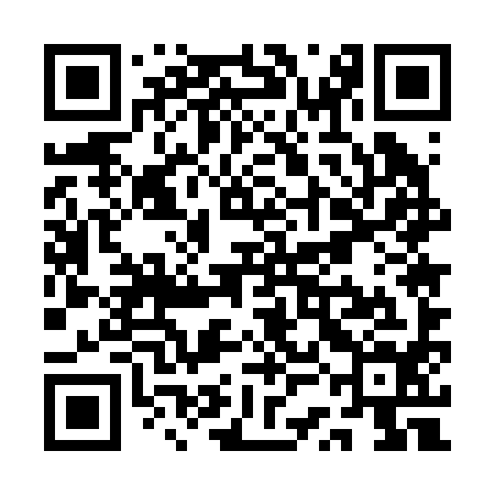 QR code for QSE294