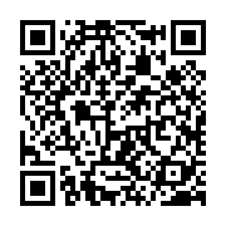 QR code for QSR029