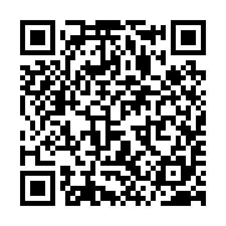 QR code for QSS295