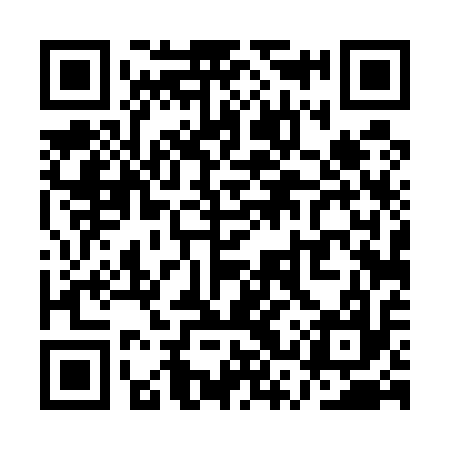 QR code for QST517