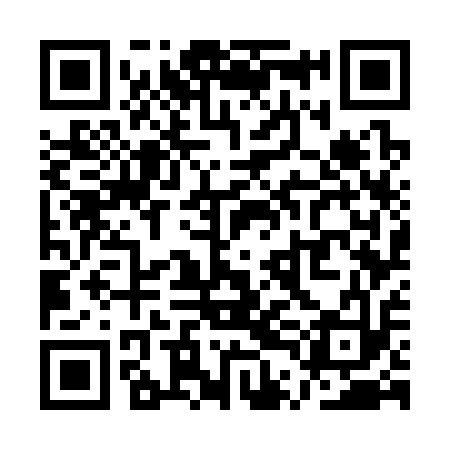 QR code for QTG313