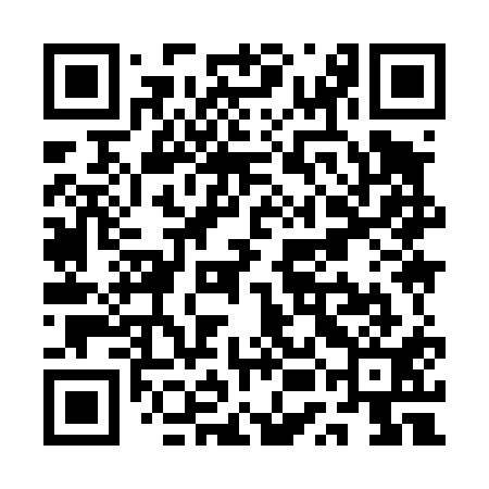 QR code for QUI411