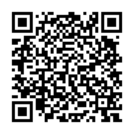 QR code for QUR461