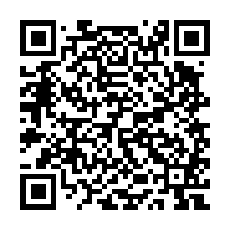 QR code for QUR481