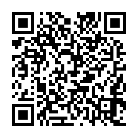 QR code for QUR953
