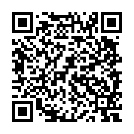 QR code for QVN493