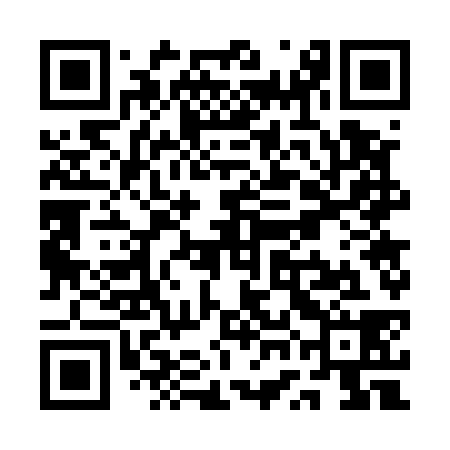 QR code for QWG538