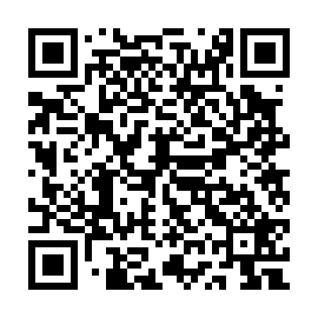 QR code for QWR029
