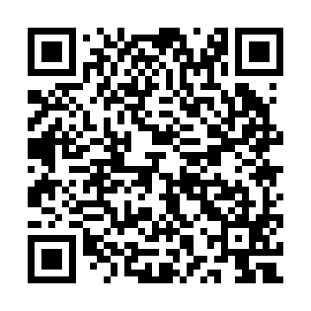QR code for QXQ295