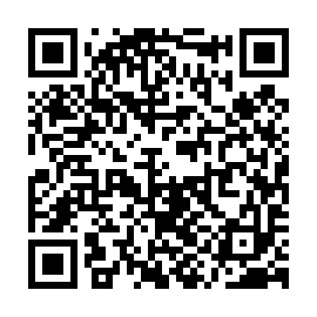 QR code for QYE493