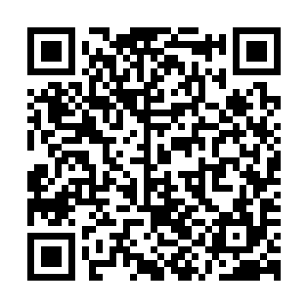 QR code for QYG394
