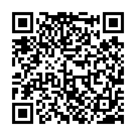 QR code for QYL613