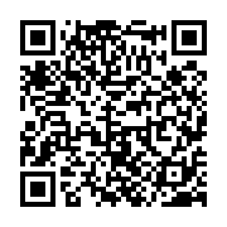 QR code for QYN511