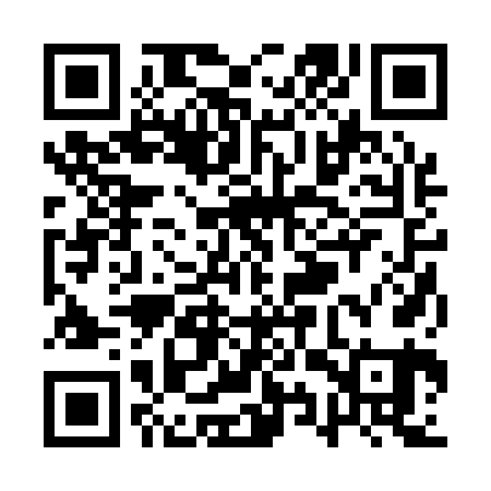 QR code for QYR161