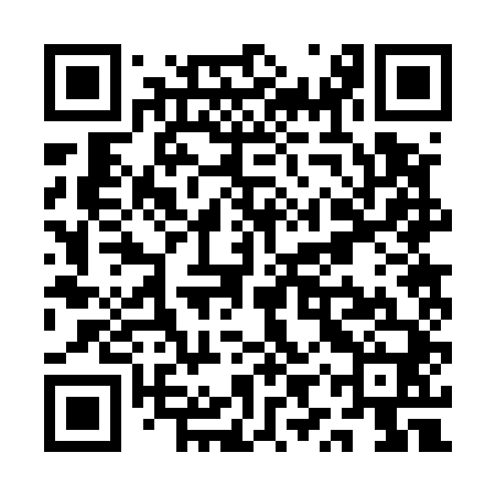 QR code for QYR540