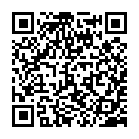 QR code for QYS598