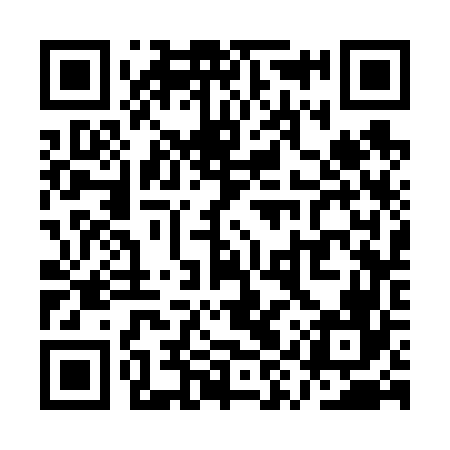 QR code for QYS666