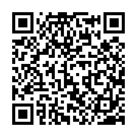 QR code for QYT533