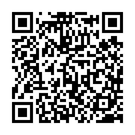QR code for QYX641