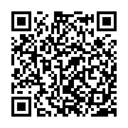 QR code for QZA991