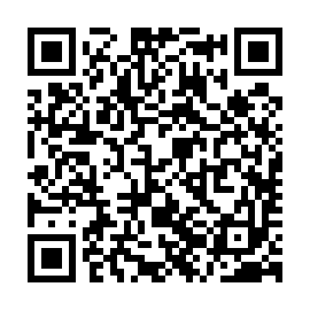 QR code for QZB593