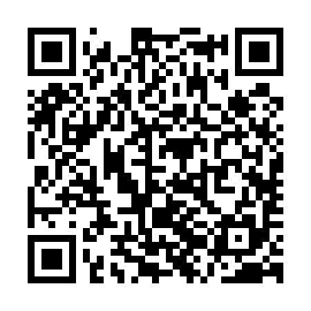 QR code for QZB595