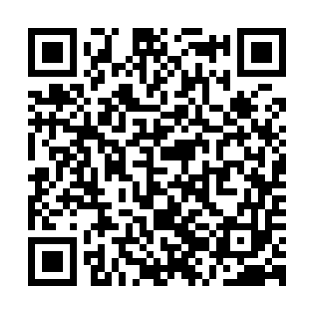 QR code for QZC953