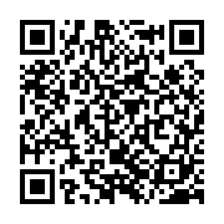 QR code for QZG161