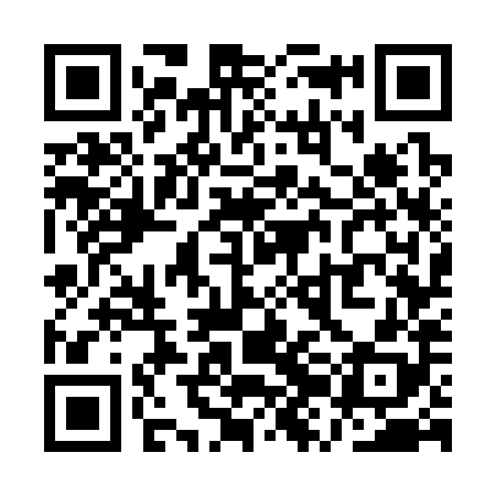 QR code for QZG388