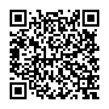 QR code for QZG868