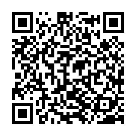 QR code for QZH029