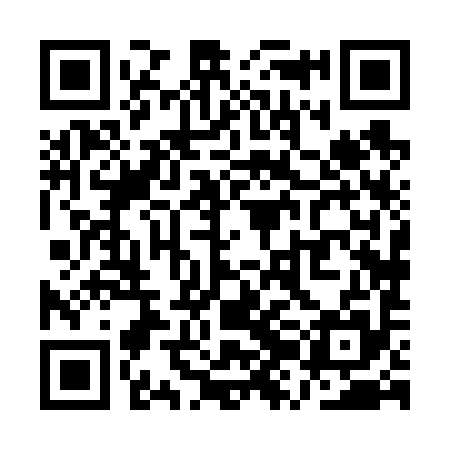 QR code for QZH695