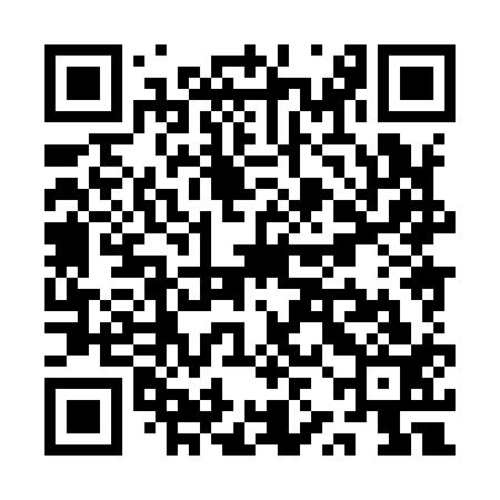 QR code for QZH913