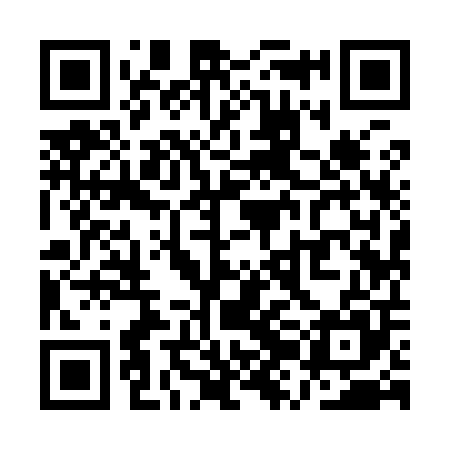 QR code for QZI905