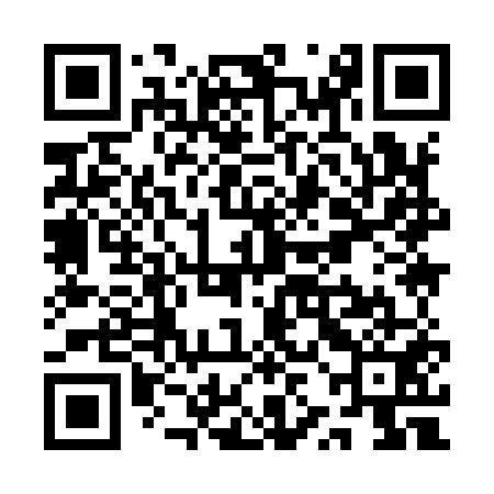 QR code for QZI951